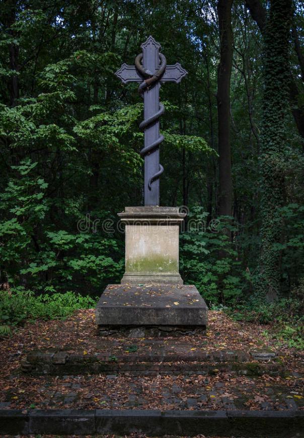 krzyż-z-wężem-58652794